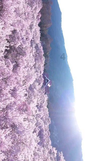 上古卷轴5
