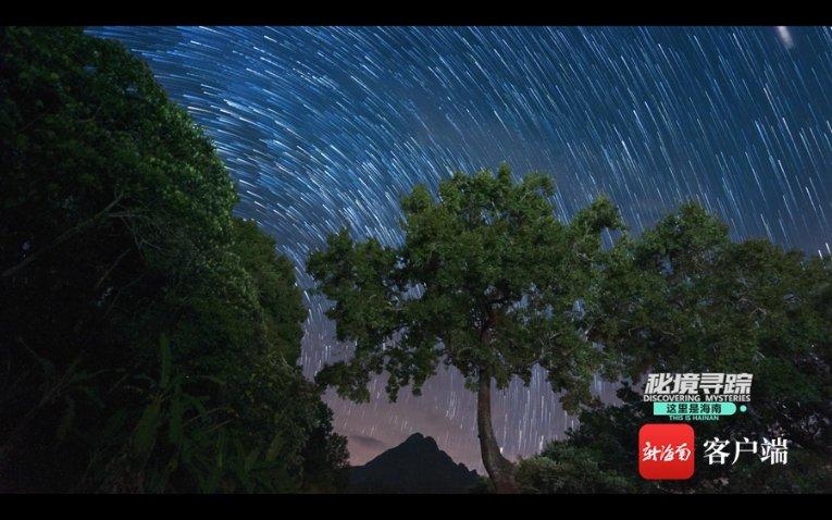 周立波被判长期监禁：涉毒涉枪双重罪行，网爆，自作自受；
