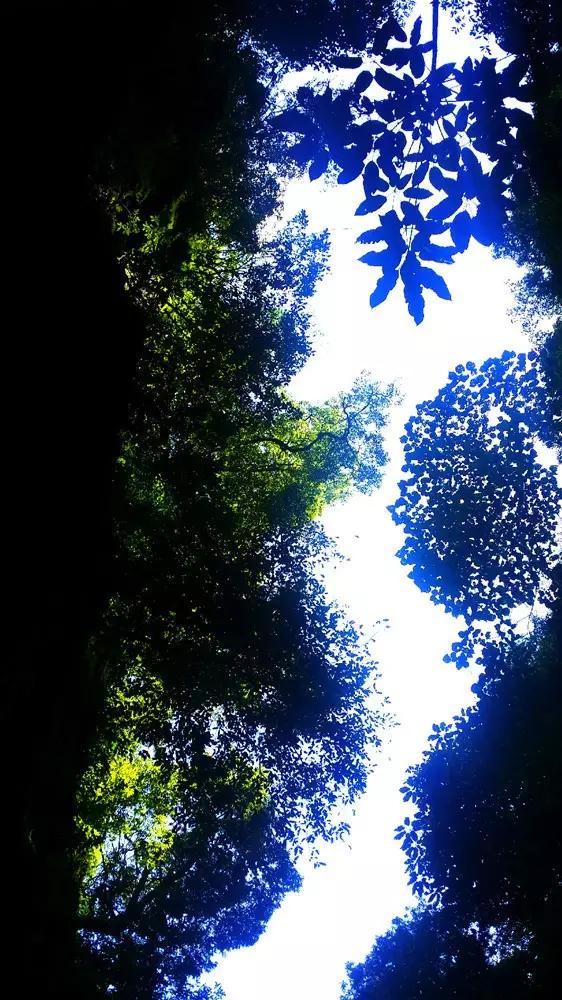 救援淘气的小狗