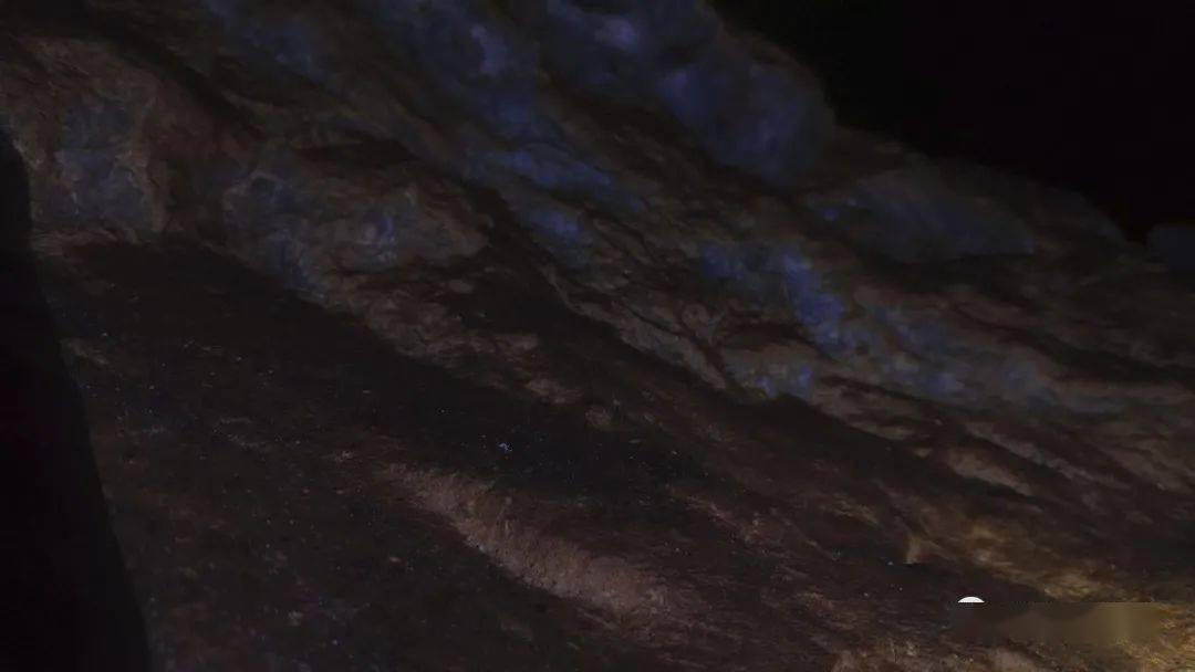 脑洞小老弟无实名认证