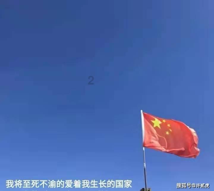 救援猫与武士