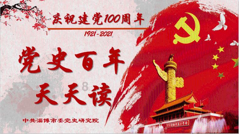 “桐参”共长 立体种植增绿“生金”