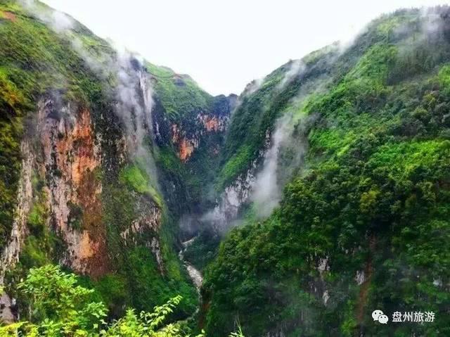 诱捕小浣熊